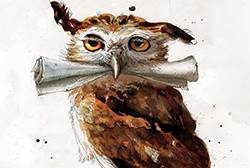 Owl from the illustrated edition of Harry Potter and the Philosopher's Stone