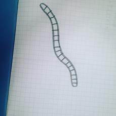 How to draw a worm, by Will Mabbitt