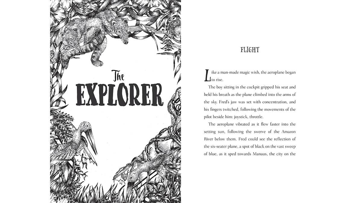 Extract from The Explorer by Katherine Rundell