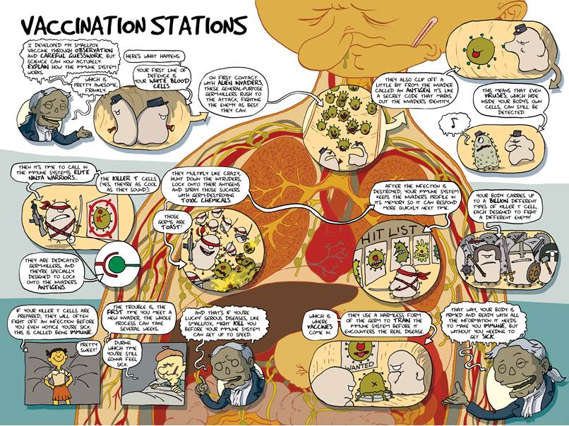 Vaccination Stations