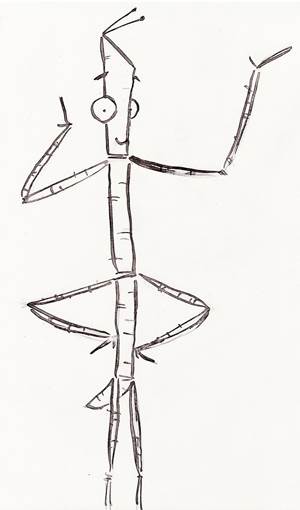 How to draw a stick insect step 6