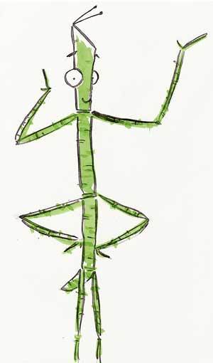 How to draw a stick insect step 7