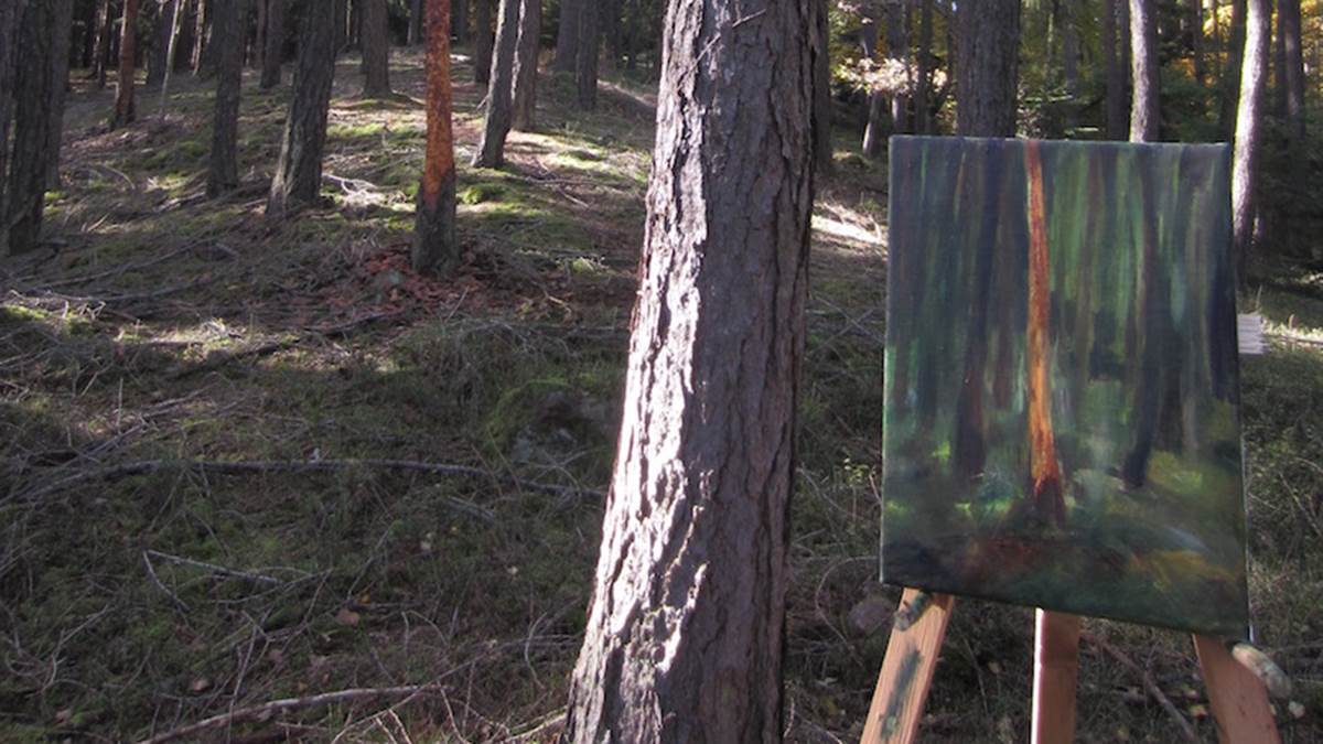 Petr Horacek paints in the woods
