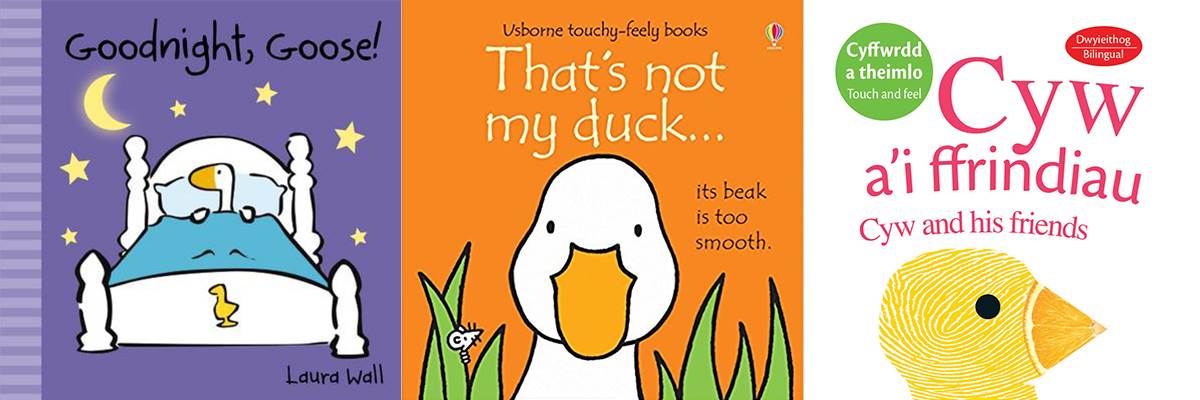 Lehanne's bird books 1