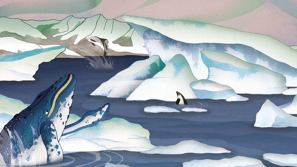 Lucy Letherland's illustration of a whale from Atlas of Adventures: Wonders of the World by Ben Handicott