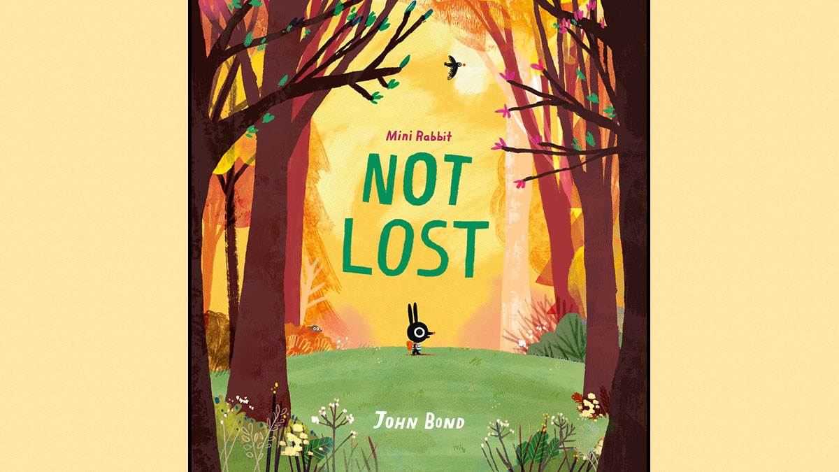 The cover of Mini Rabbit Not Lost
