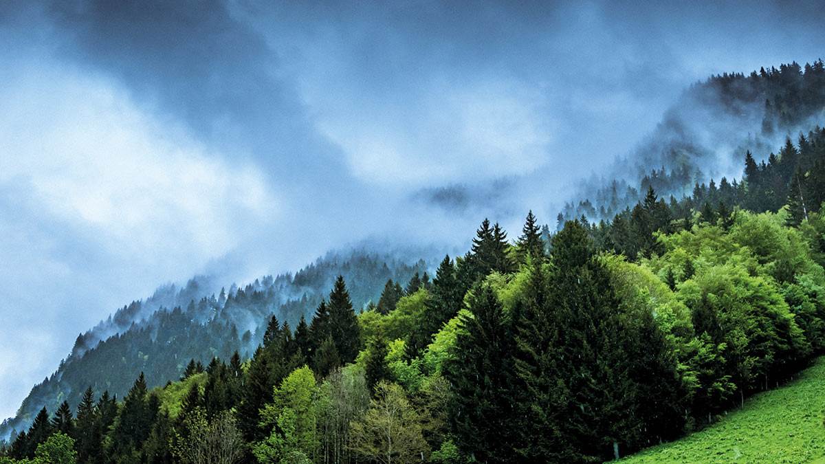 Clouds near a tree-covered mountain