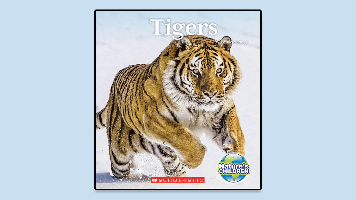 The front cover of Tigers