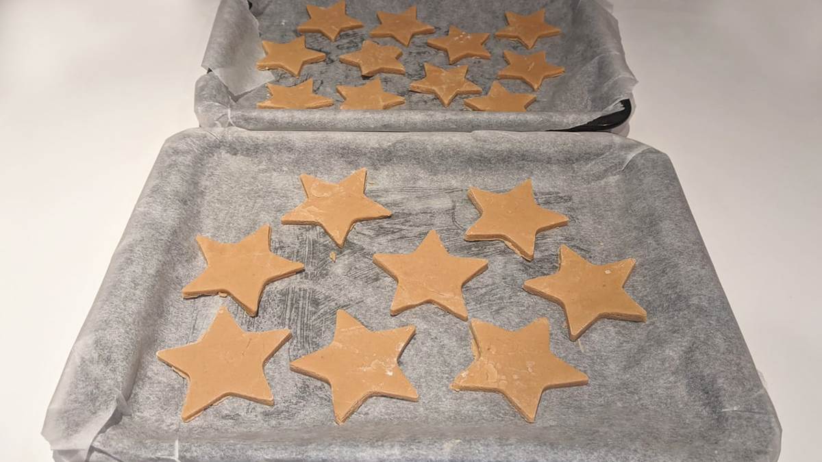 My Pet Star and cookies on baking tray
