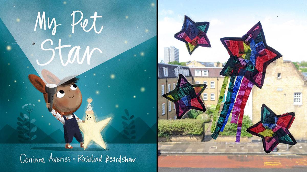 The front cover of My Pet Star and a suncatcher