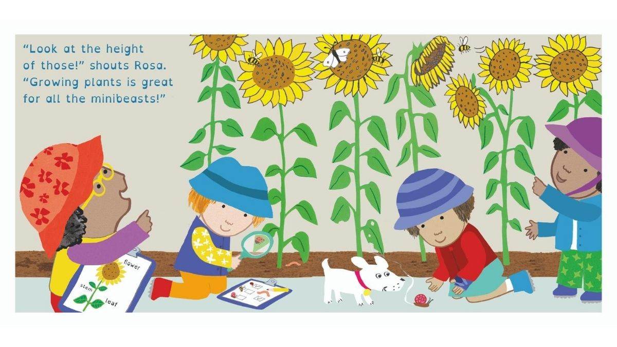 A spread from Jessica Spanyol's book, Rosa's Big Sunflower Experiment