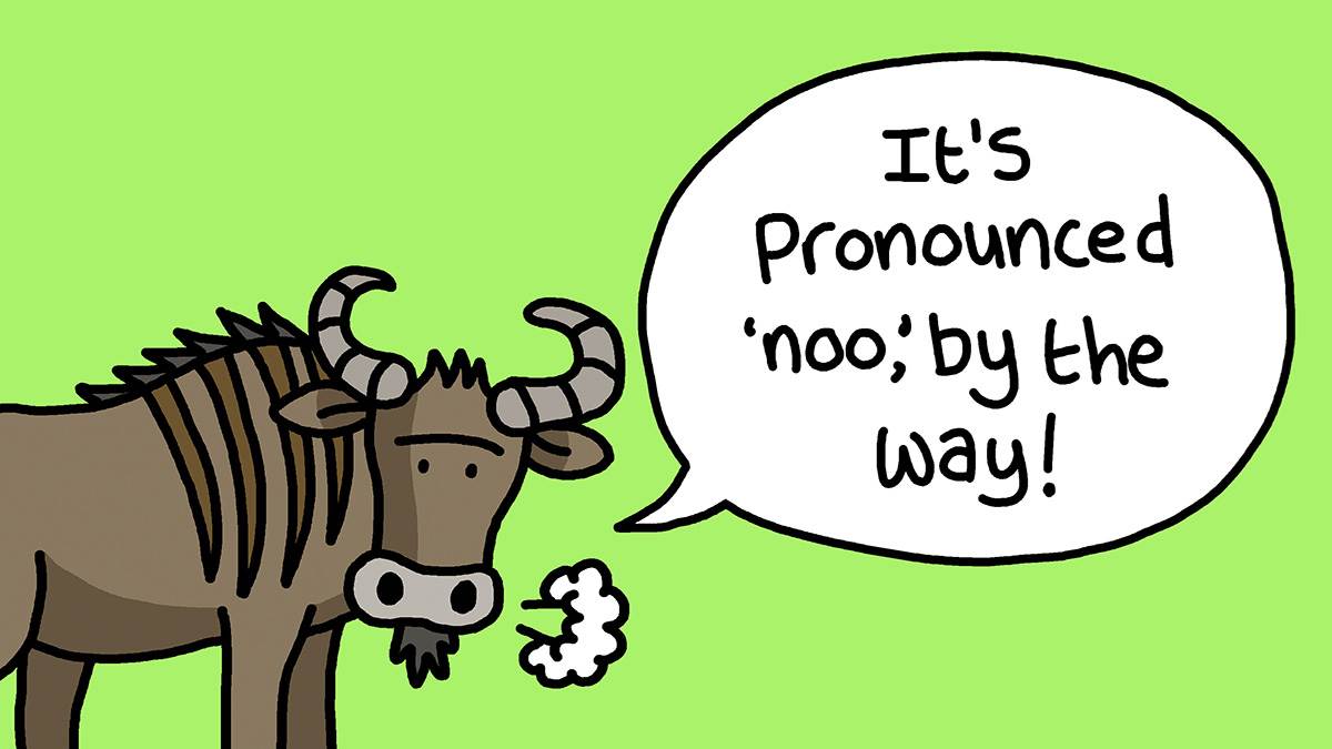 An illustration of a gnu saying: 'It's pronounced noo, by the way'
