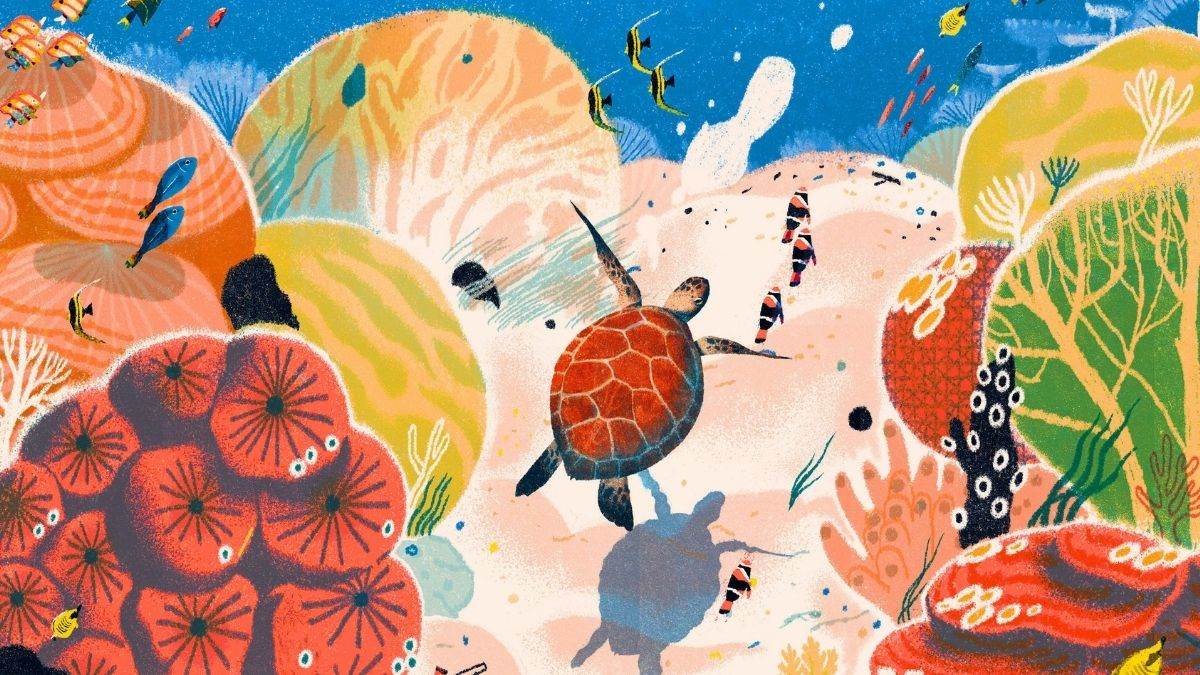 Illustration from The Great Barrier Reef by Helen Scales and Lisk Feng