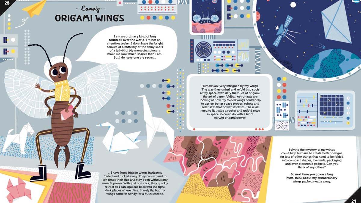 A spread about earwigs from Invented by Animals