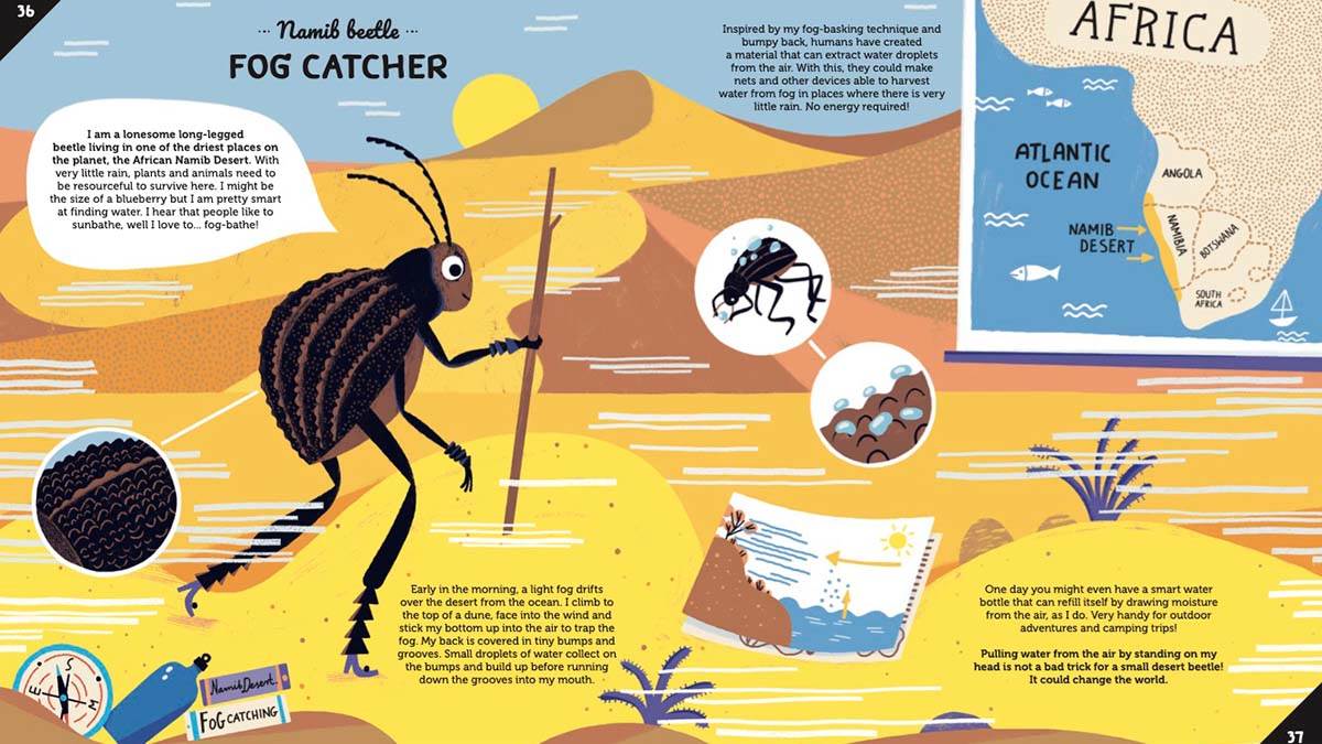 A spread about Namib beetles from Invented by Animals