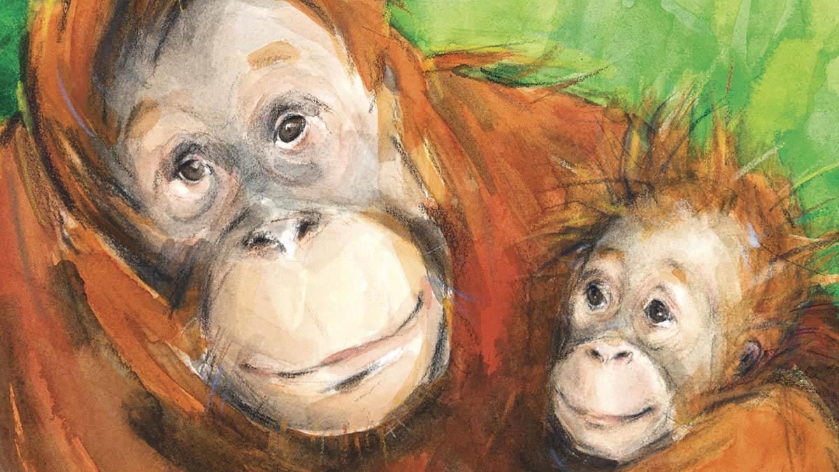 An illustration of a mother and baby orangutan cuddling up from The Emerald Forest