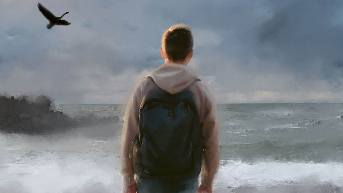 An image from the front cover of Swan Song - a young person seen from behind, looking out over water with a bird in the air