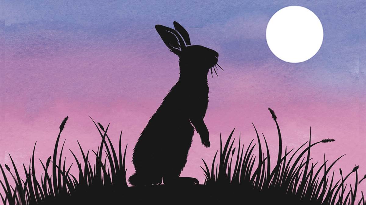 The cover of Watership Down by Richard Adams