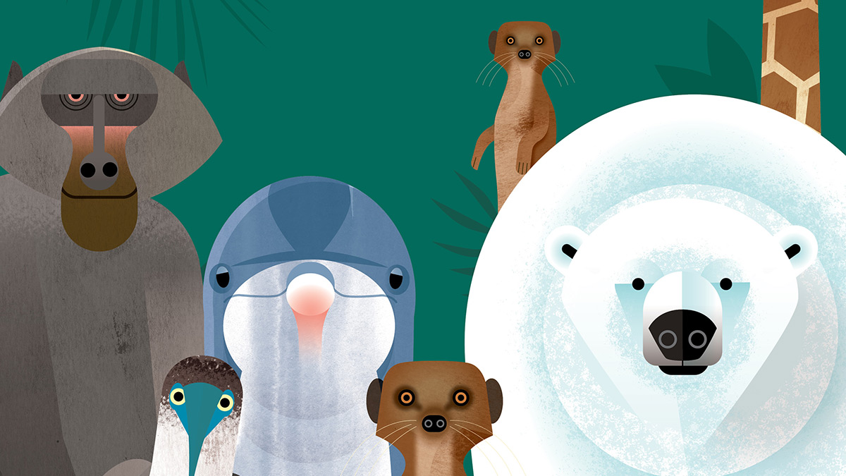 How similar are humans and animals? Find out in our fun Humanimal quiz |  BookTrust